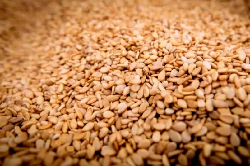 Burkina Faso : le sésame, une filière en pleine expansion malgré les défis sécuritaires